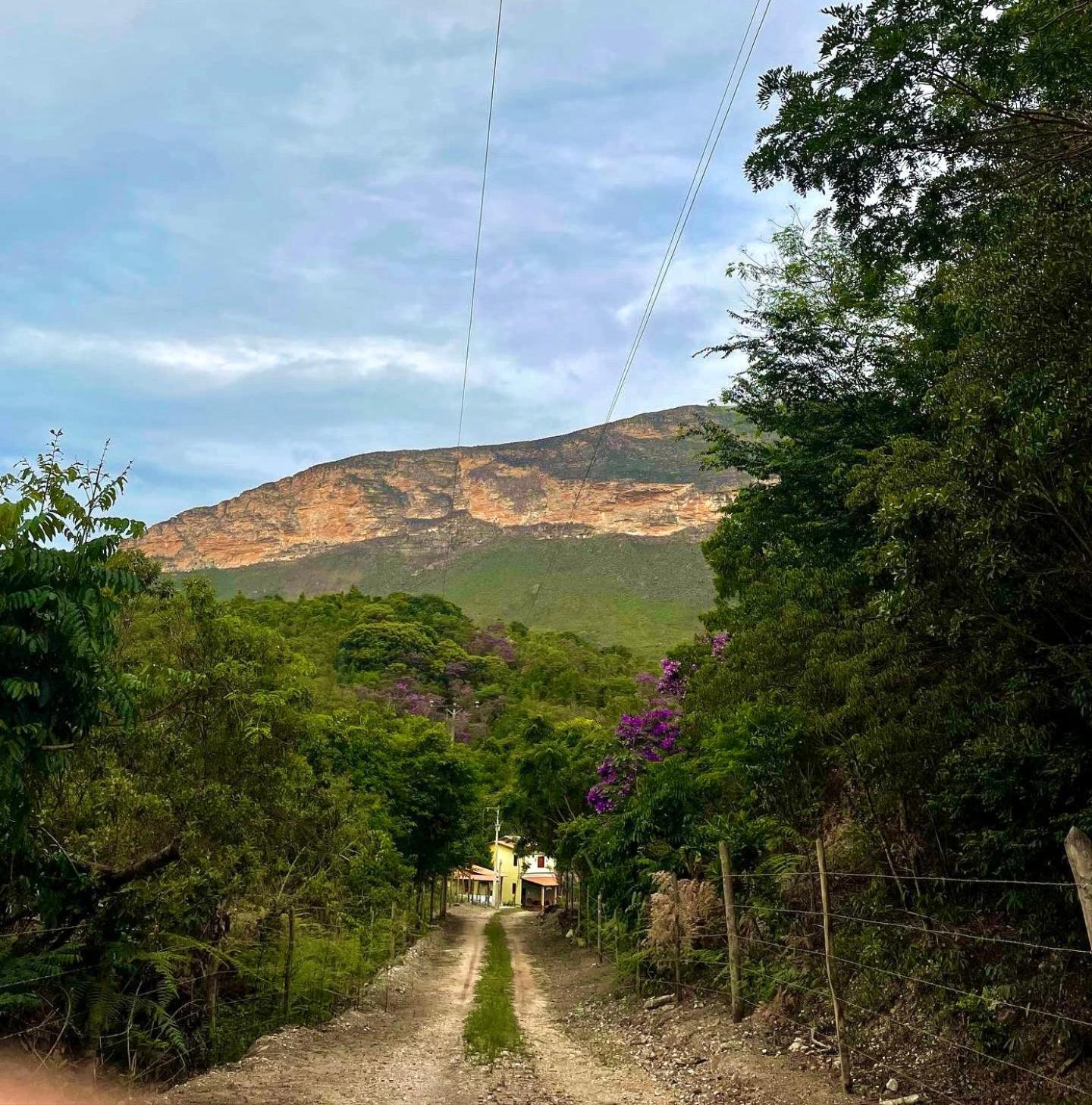 Reserva Do Bosque Hospedaria E Natureza 이비코아라 외부 사진