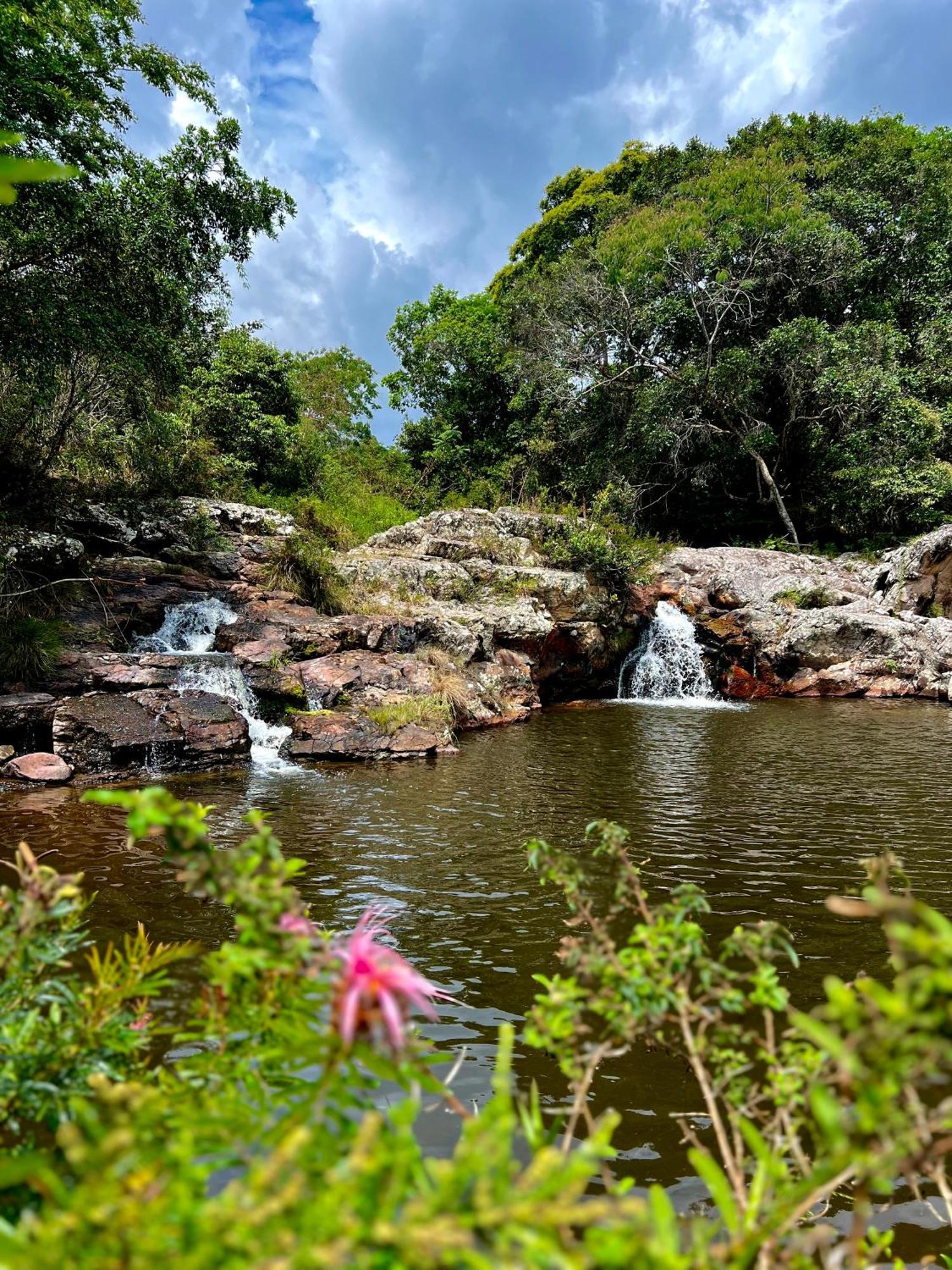 Reserva Do Bosque Hospedaria E Natureza 이비코아라 외부 사진